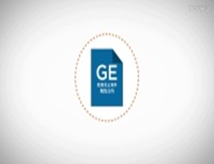 國際貨幣市場（IMM）指數和日期